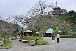 お茶屋と三重塔